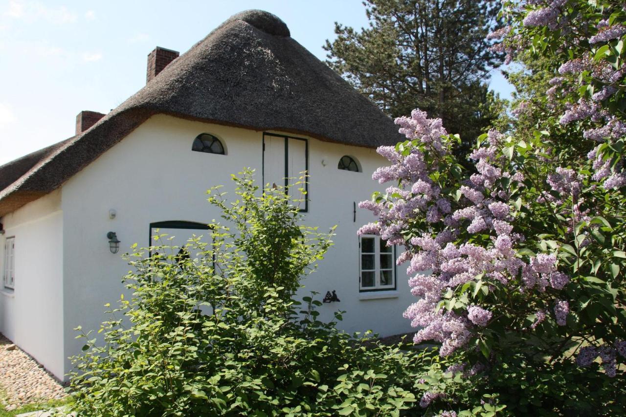 Friesenhaus Amrum Friesenhaushaelfte *Kloenschnack* Suddorf المظهر الخارجي الصورة